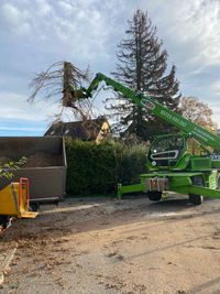 Einsatz eines Merlo zur Baumabtragung